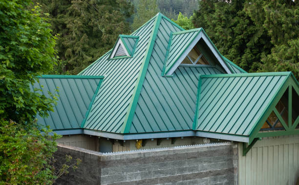 Best Roof Ventilation Installation  in St Michael, MN